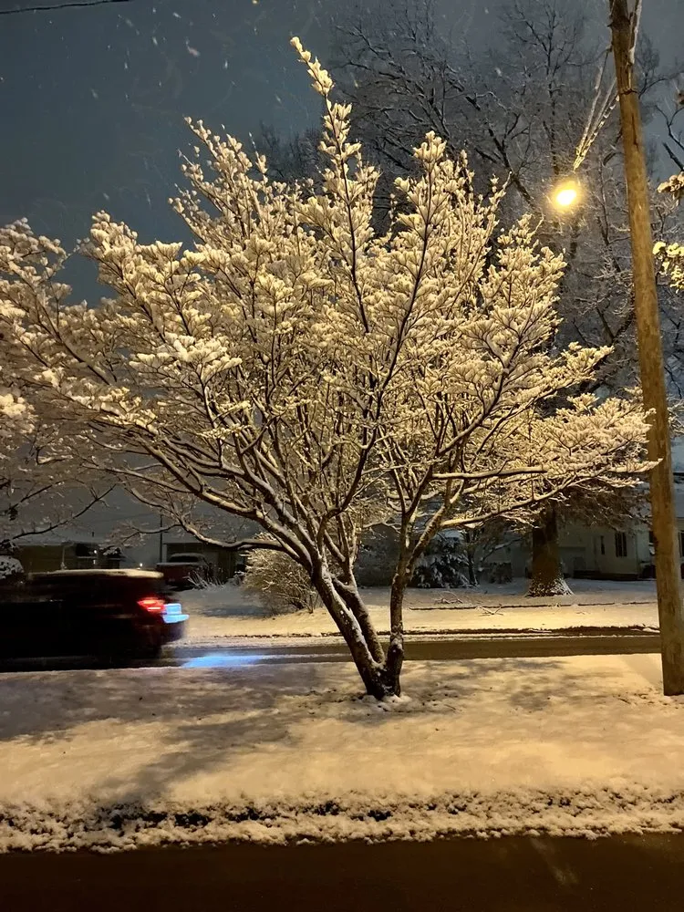 Professional landscaping services experts serving Erie, PA - CleanCo