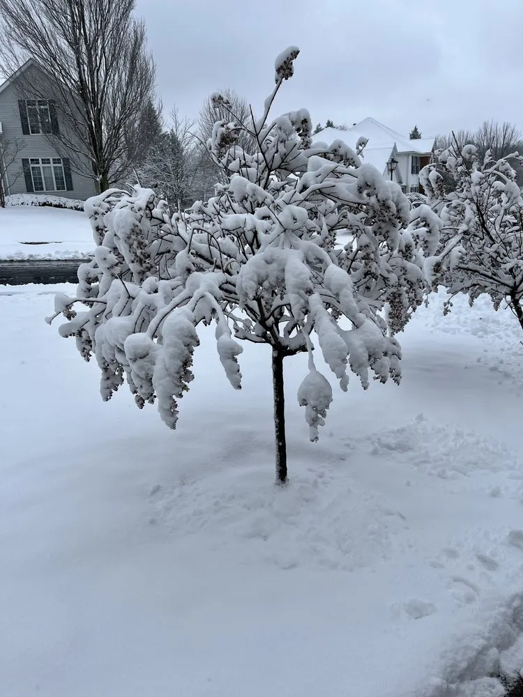 Professional outdoor landscaping for residential properties in Erie, PA by CleanCo