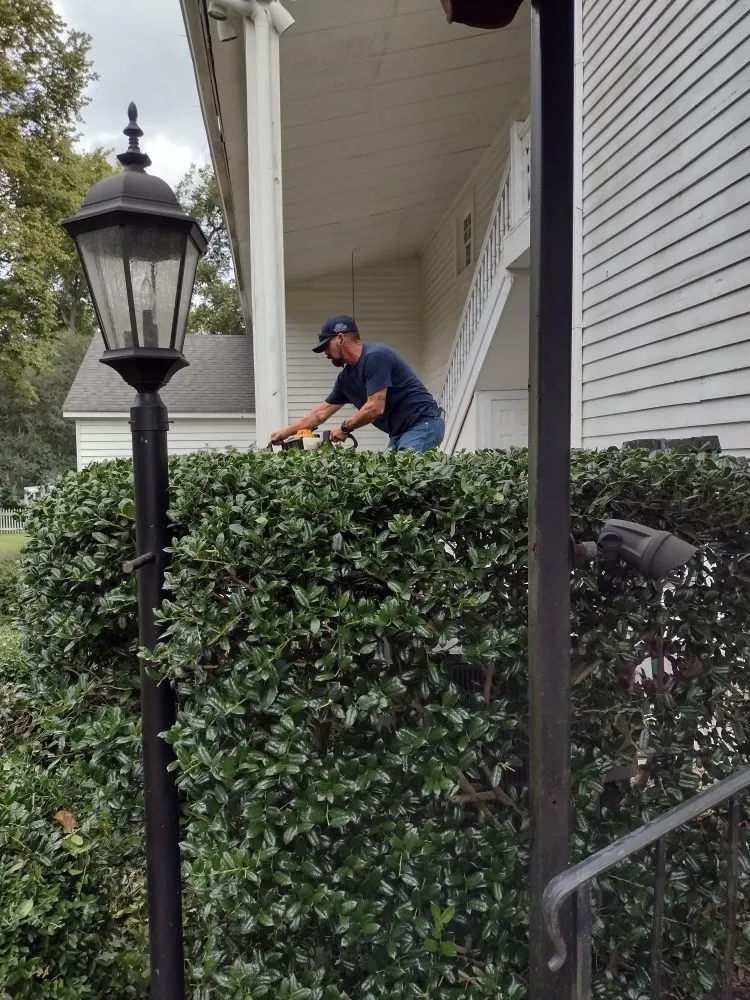 Trusted yard maintenance for beautiful yards across Jefferson, TX - Cleancut Gardening Service