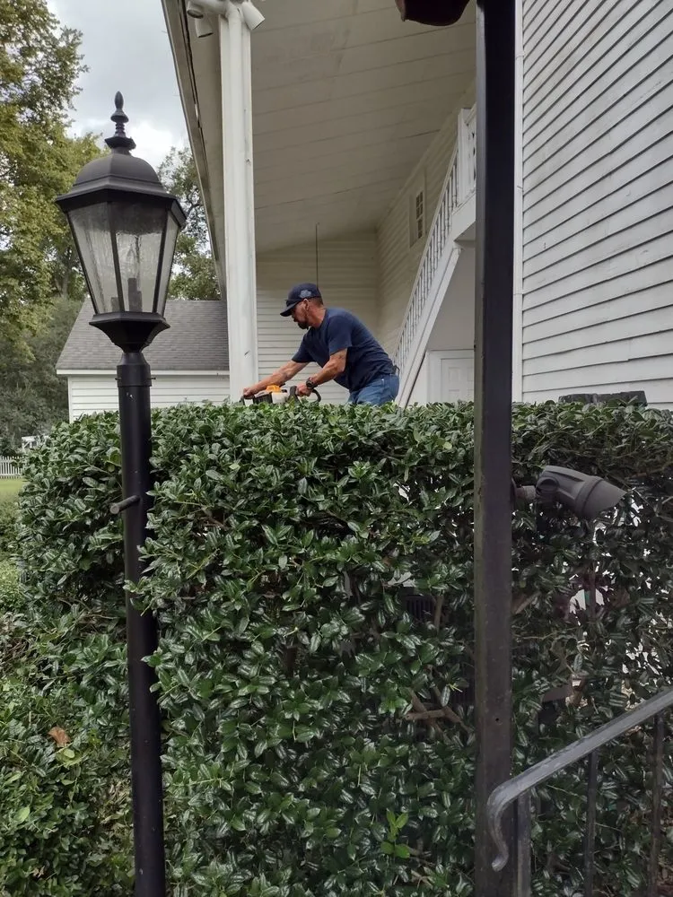 Affordable garden landscaping experts serving Jefferson, TX - Cleancut Gardening Service