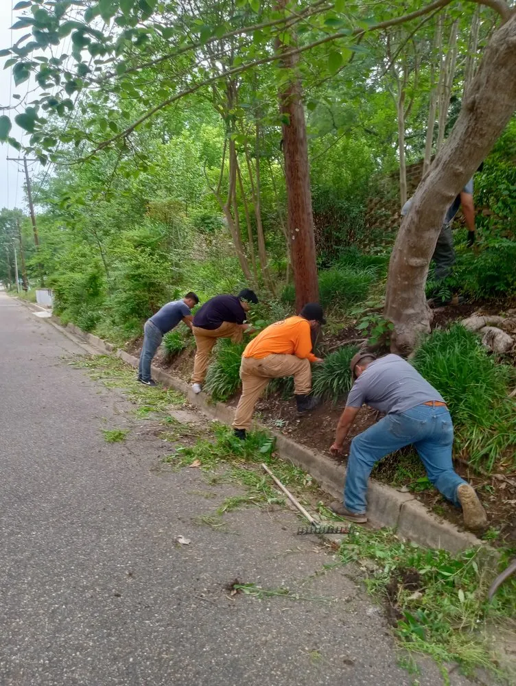 Custom landscape installation experts serving Jefferson, TX - Cleancut Gardening Service