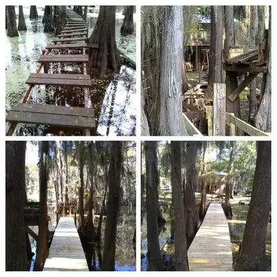 Cleancut Gardening Service