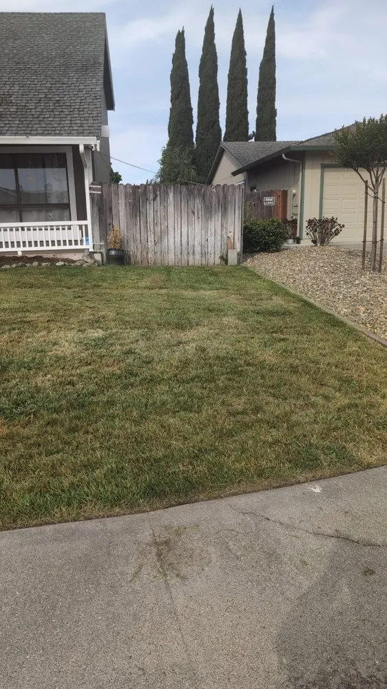 Affordable outdoor landscaping for outdoor upgrades in Pinole, CA by CleanCut Gardens