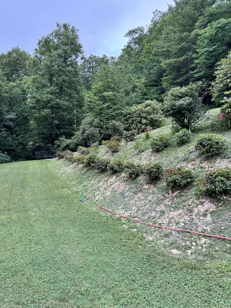 Top-rated lawn care service experts serving Newland, NC - Cleancut Lawncare