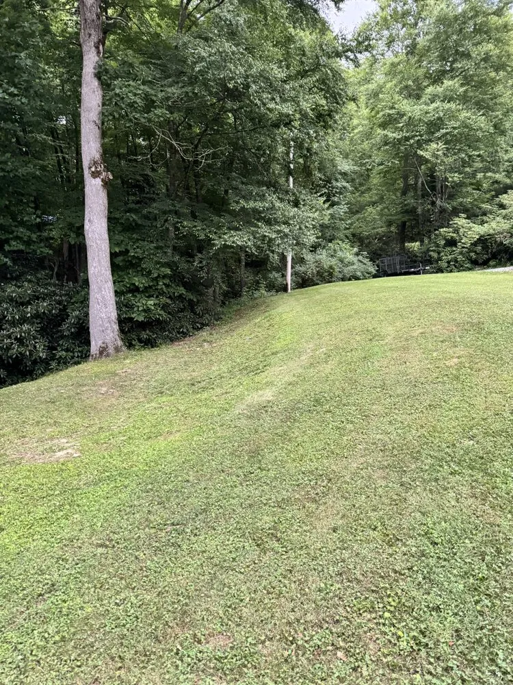 Custom garden landscaping in Newland, NC - Cleancut Lawncare