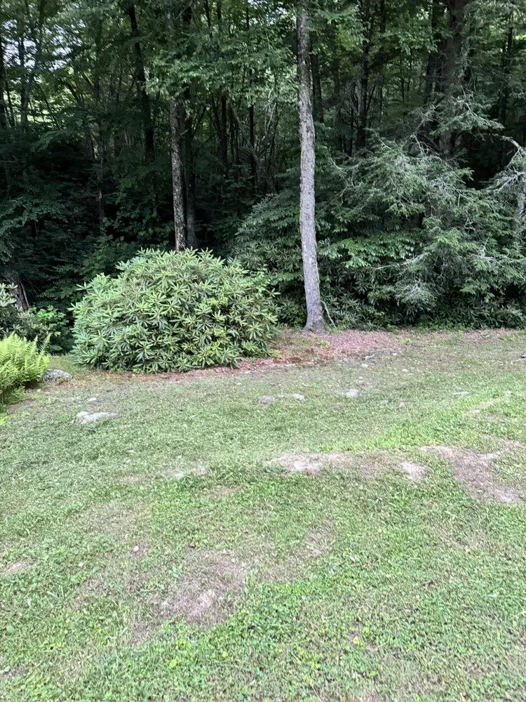 Local landscaping services experts serving Newland, NC - Cleancut Lawncare