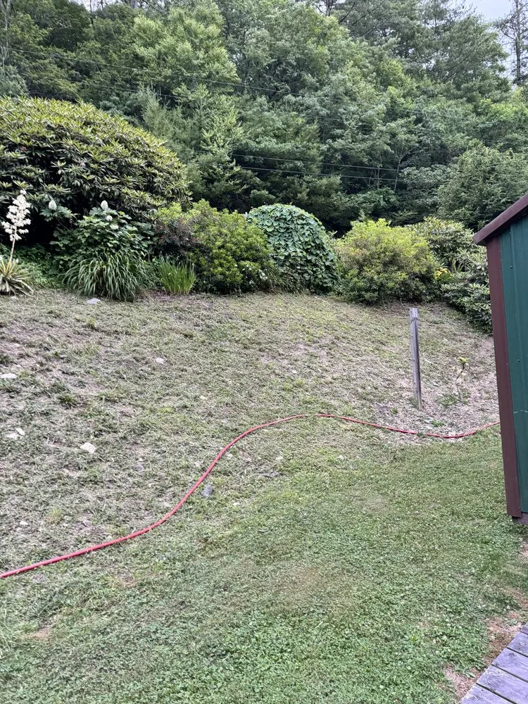 Trusted lawn care service in Newland, NC - Cleancut Lawncare