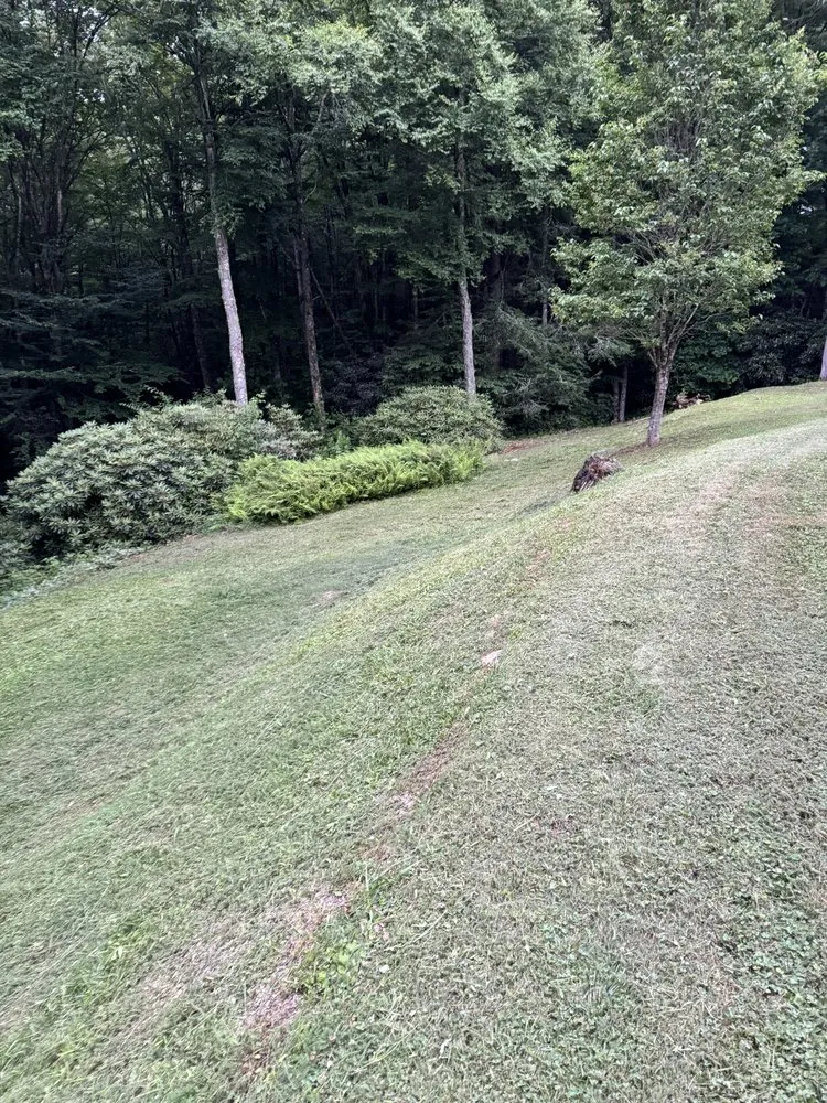 Local landscape installation experts serving Newland, NC - Cleancut Lawncare