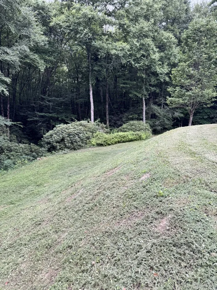 Trusted yard cleanup service in Newland, NC - Cleancut Lawncare