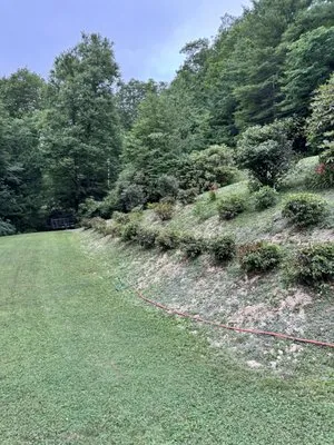 Cleancut Lawncare