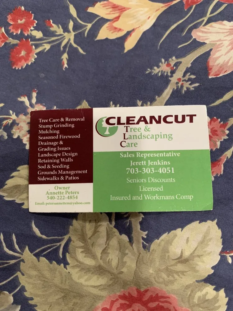 Local yard cleanup service in Washington, VA - Cleancut Tree and Landscaping