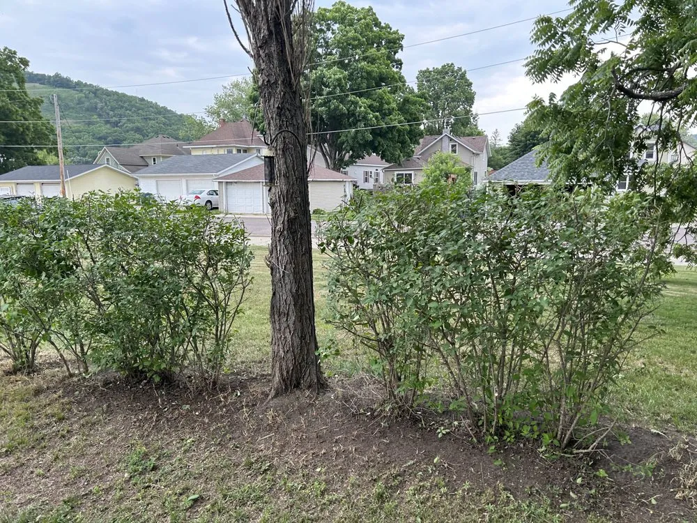 Trusted lawn mowing service experts serving Winona, MN - Cleaned Up Solutions