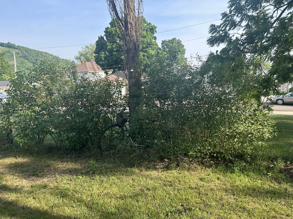 Professional lawn care service near you across Winona, MN - Cleaned Up Solutions