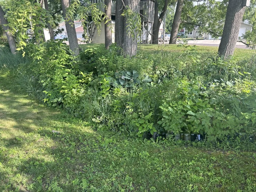 Affordable landscape design in Winona, MN by Cleaned Up Solutions