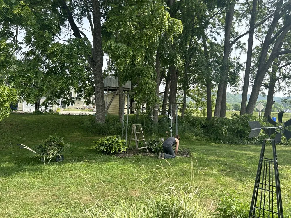 Affordable outdoor landscaping experts serving Winona, MN - Cleaned Up Solutions