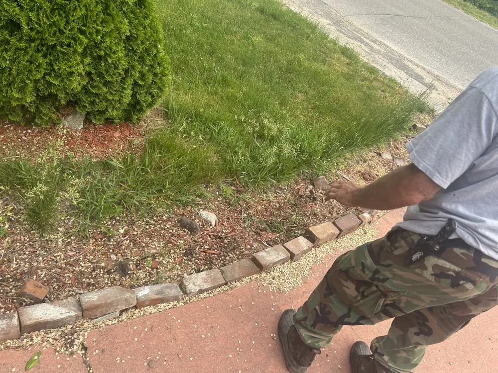 Top-rated landscaping services in Winona, MN - Cleaned Up Solutions