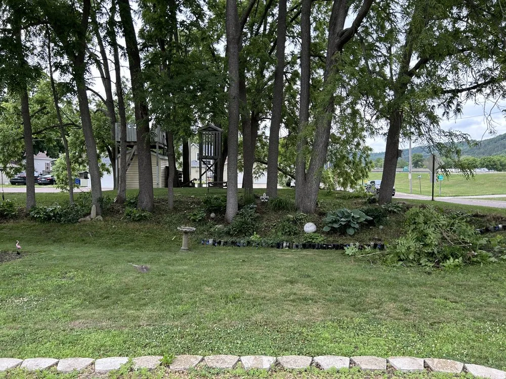 Reliable lawn care service in Winona, MN by Cleaned Up Solutions