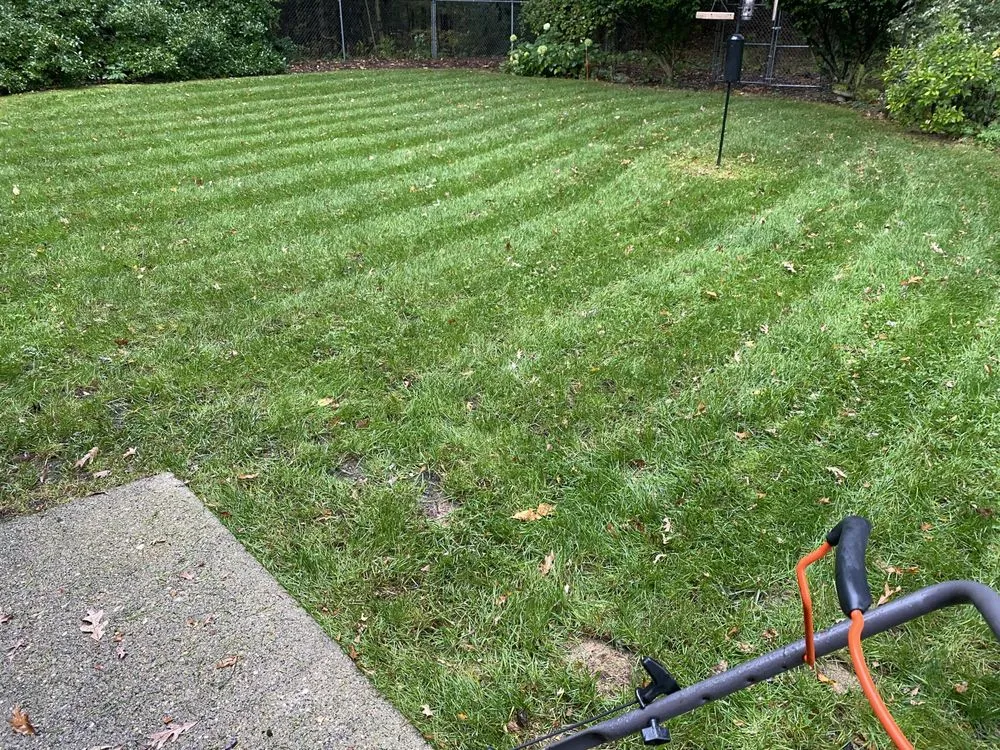 Expert lawn care service near you across Muskegon, MI - Cleaner Cuts LLC