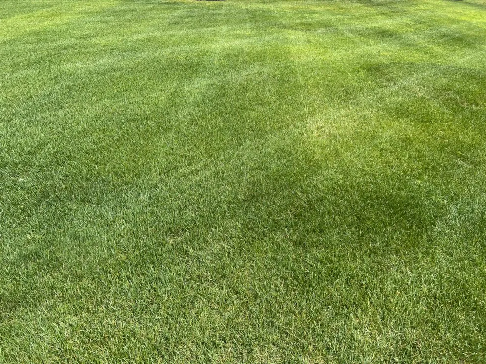 Trusted landscape design for outdoor upgrades in Muskegon, MI by Cleaner Cuts LLC