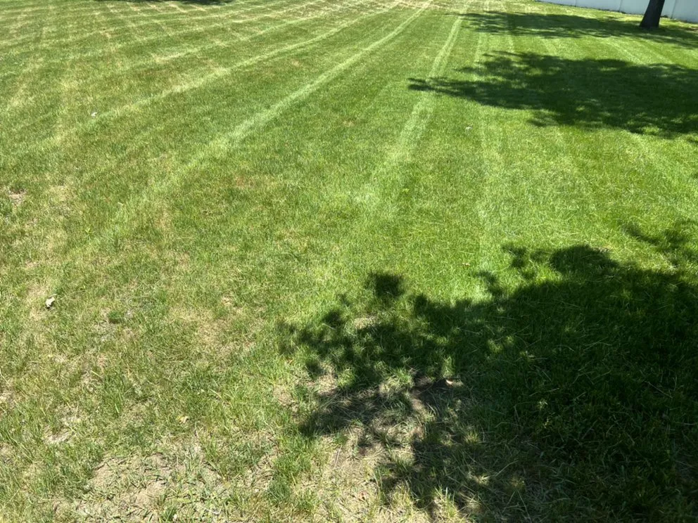 Expert yard cleanup service experts serving Muskegon, MI - Cleaner Cuts LLC