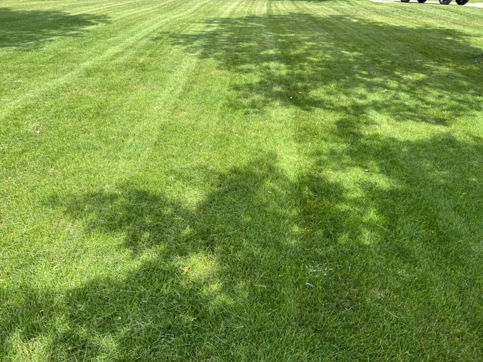 Custom outdoor landscaping in Muskegon, MI - Cleaner Cuts LLC