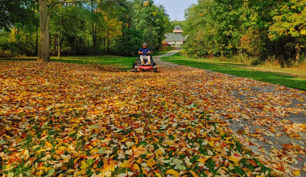Professional yard maintenance in Medina, OH - Cleaner Grounds