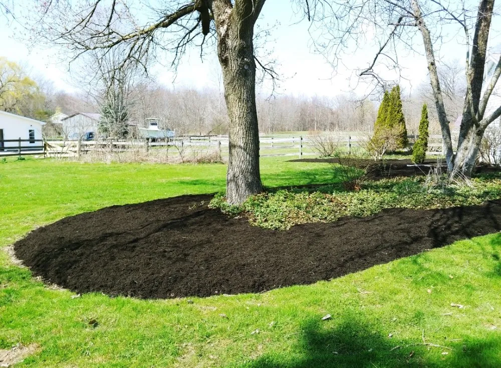 Affordable lawn care service for homes across Medina, OH - Cleaner Grounds