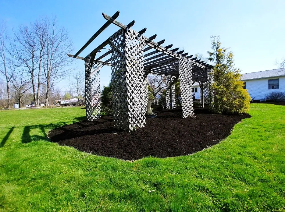 Expert yard cleanup service in Medina, OH by Cleaner Grounds