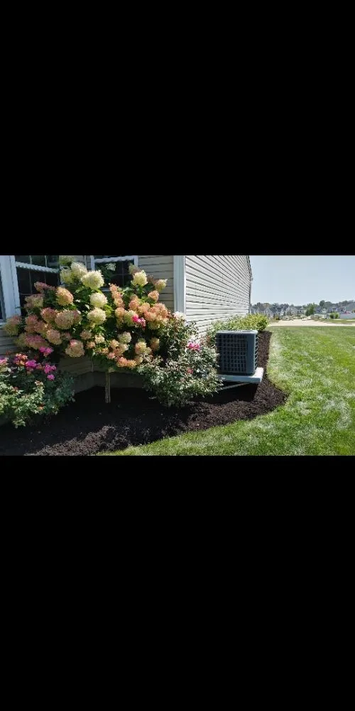 Trusted yard maintenance in Medina, OH by Cleaner Grounds