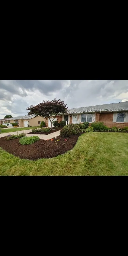 Local yard maintenance near you in Medina, OH by Cleaner Grounds