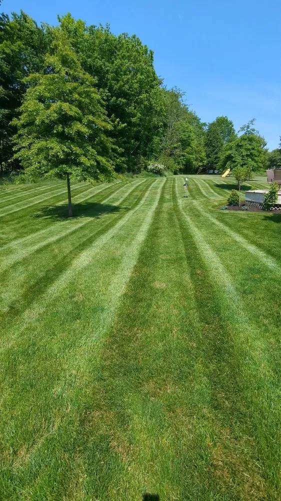Reliable outdoor landscaping for homes across Medina, OH - Cleaner Grounds