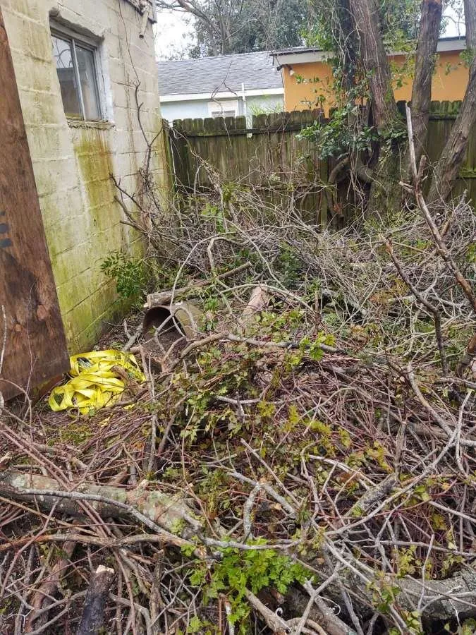 Trusted landscape design in Goose Creek, SC - Cleanify Pressure Washing & Hauling