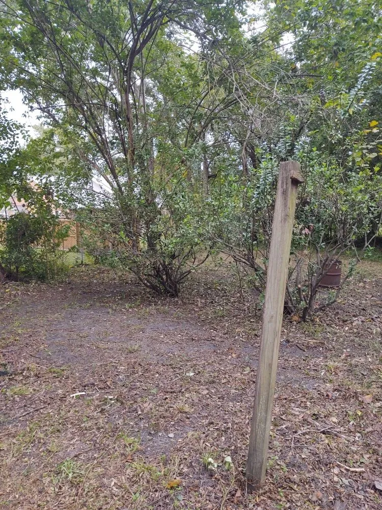 Reliable lawn care service for residential properties in Goose Creek, SC by Cleanify Pressure Washing & Hauling