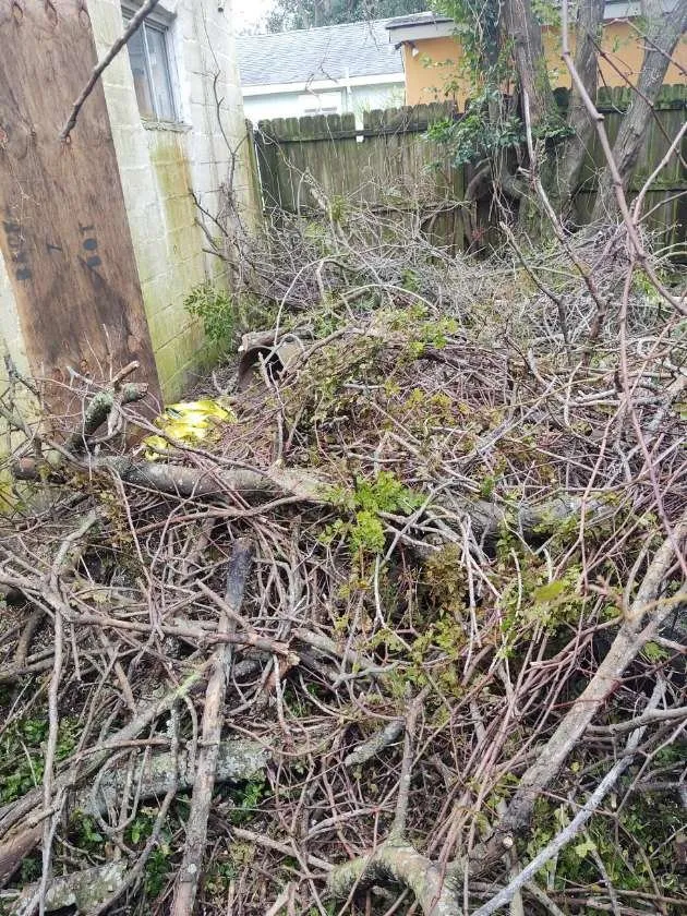 Trusted garden landscaping in Goose Creek, SC by Cleanify Pressure Washing & Hauling