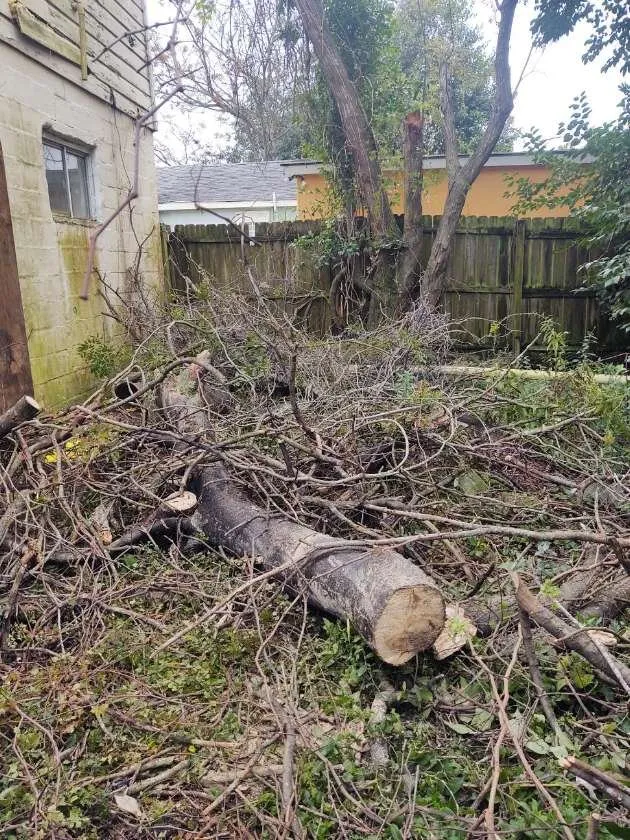 Affordable garden landscaping in Goose Creek, SC - Cleanify Pressure Washing & Hauling