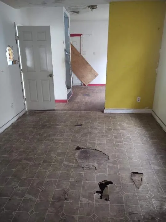 Expert yard maintenance experts serving Goose Creek, SC - Cleanify Pressure Washing & Hauling