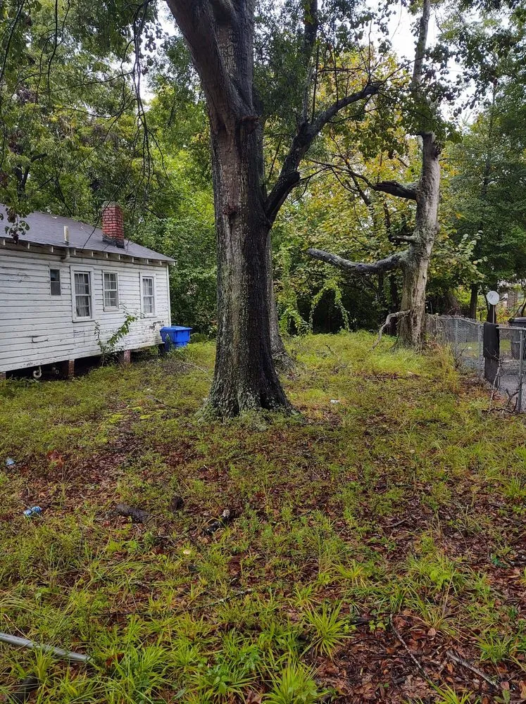 Custom landscaping services in Goose Creek, SC - Cleanify Pressure Washing & Hauling