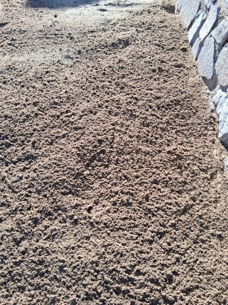 Professional yard cleanup service for beautiful yards in Las Cruces, NM by CleaninBoyz