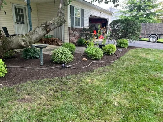 Cleaning & Landscaping services Logo