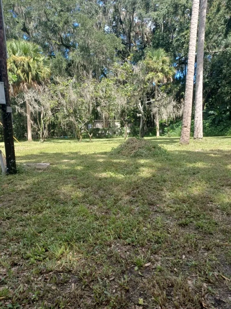 Professional landscape installation with custom design in Lake Panasoffkee, FL by Cleaning By Alisha Olver
