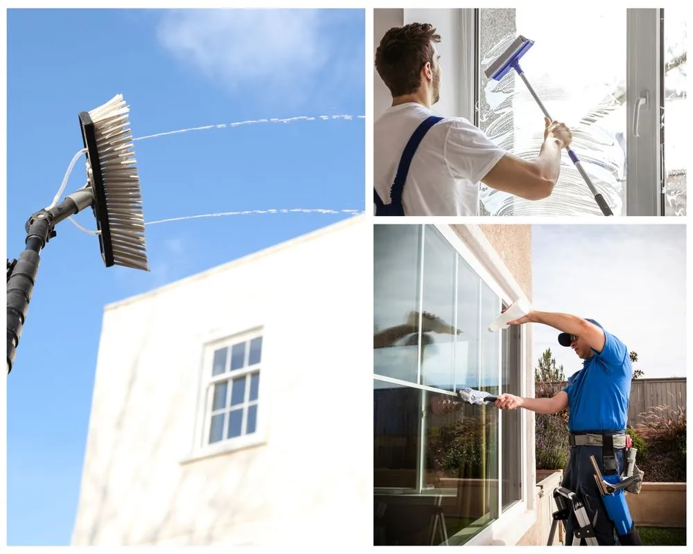 Professional landscape design in Dunedin, FL by Cleaning Clearwater