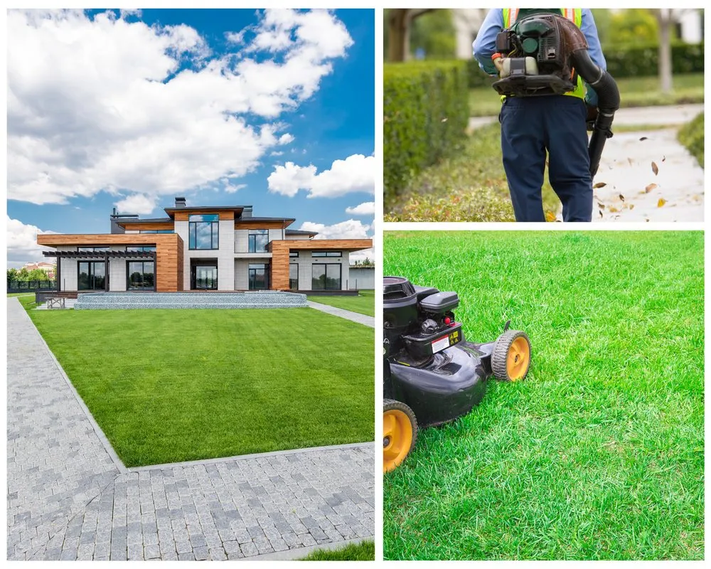 Top-rated lawn mowing service in Dunedin, FL by Cleaning Clearwater