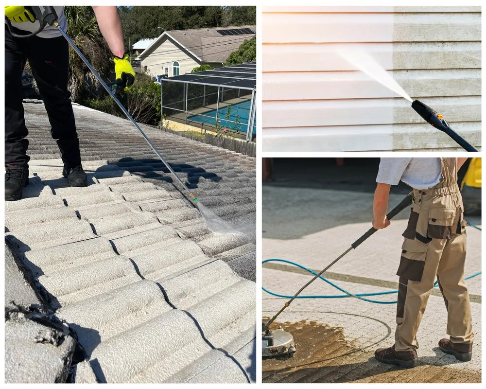 Top-rated landscape design in Dunedin, FL - Cleaning Clearwater