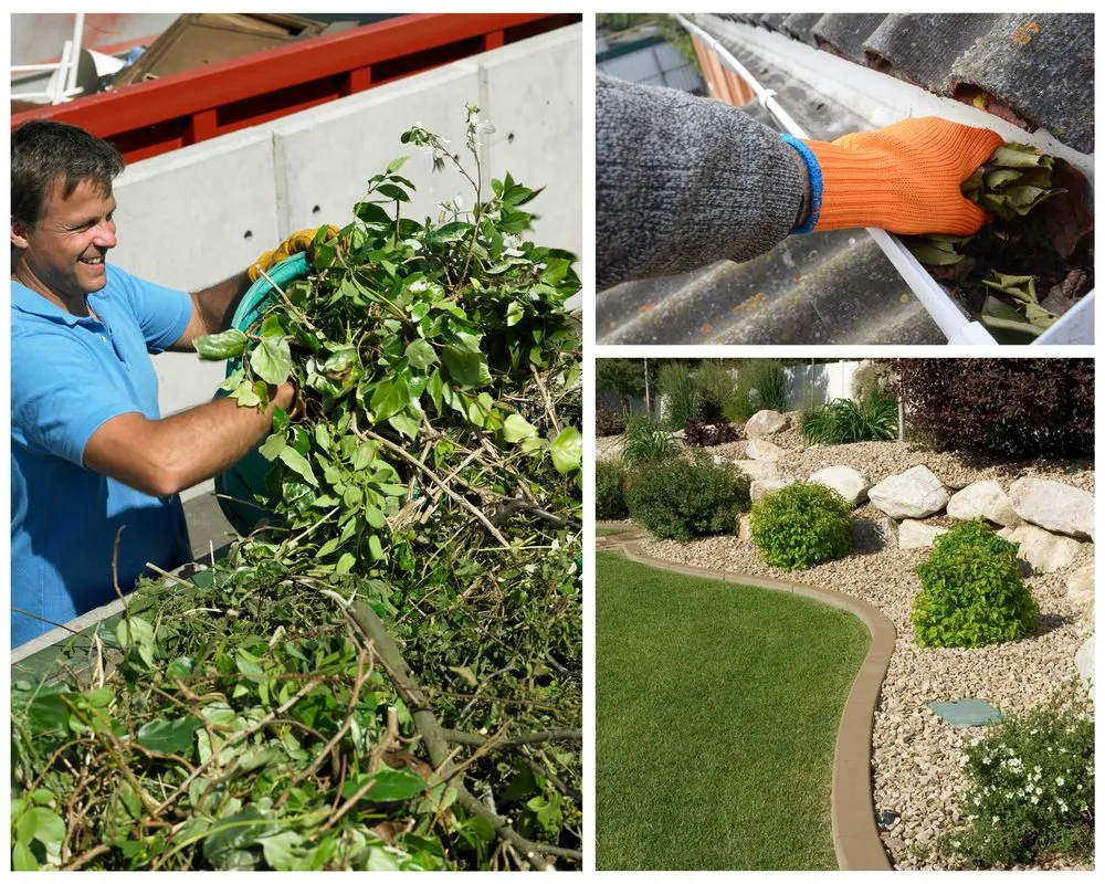 Local landscape design for year-round maintenance in Dunedin, FL by Cleaning Clearwater