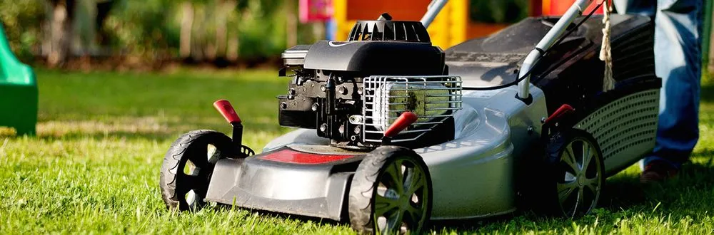 Top-rated landscaping services in Clovis, NM - Cleaning Squad