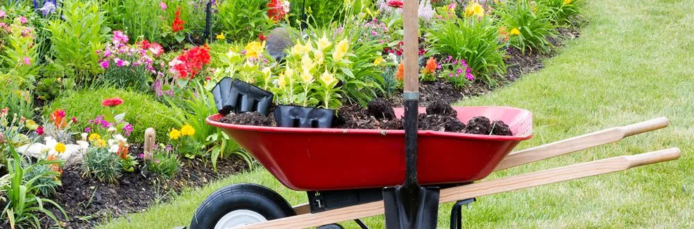 Local garden landscaping in Clovis, NM by Cleaning Squad