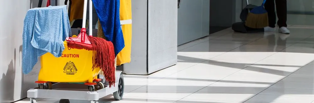 Reliable residential landscaping for residential properties across Clovis, NM - Cleaning Squad