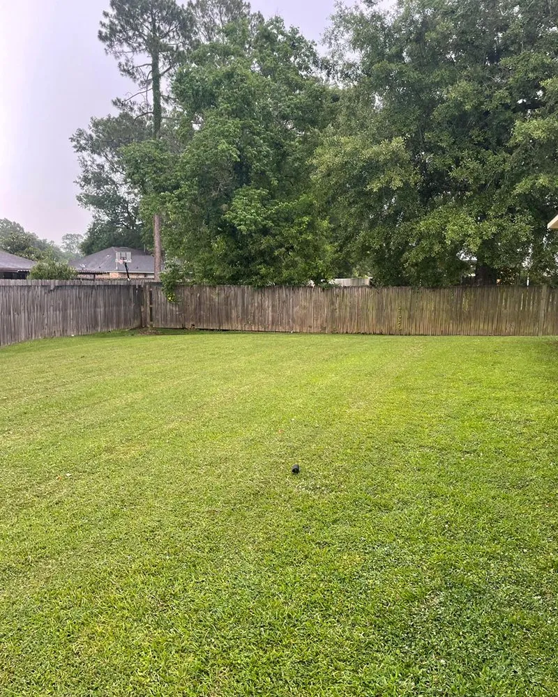 Local garden landscaping in Baton Rouge, LA - Cleaning The Earth