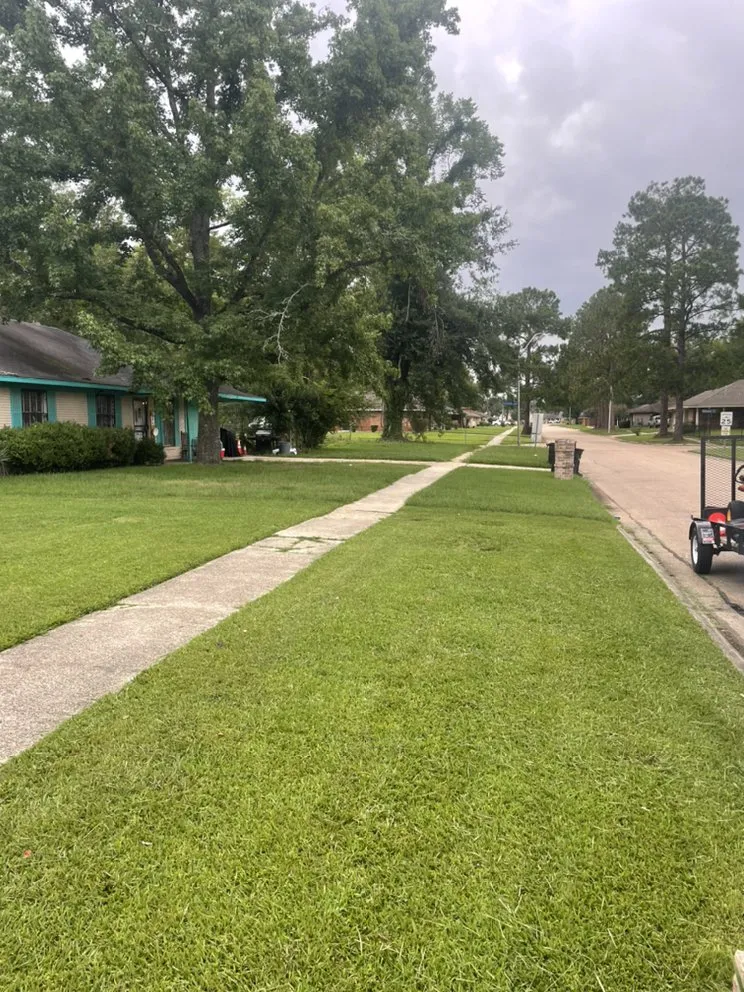 Reliable yard cleanup service experts serving Baton Rouge, LA - Cleaning The Earth