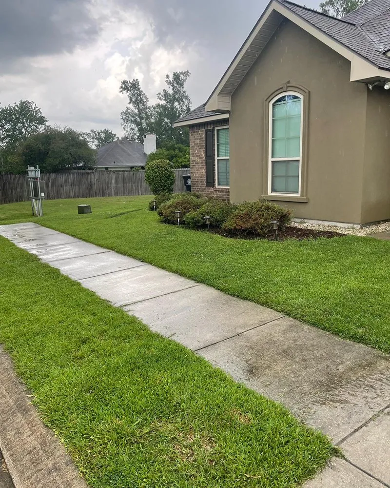 Reliable lawn care service in Baton Rouge, LA by Cleaning The Earth